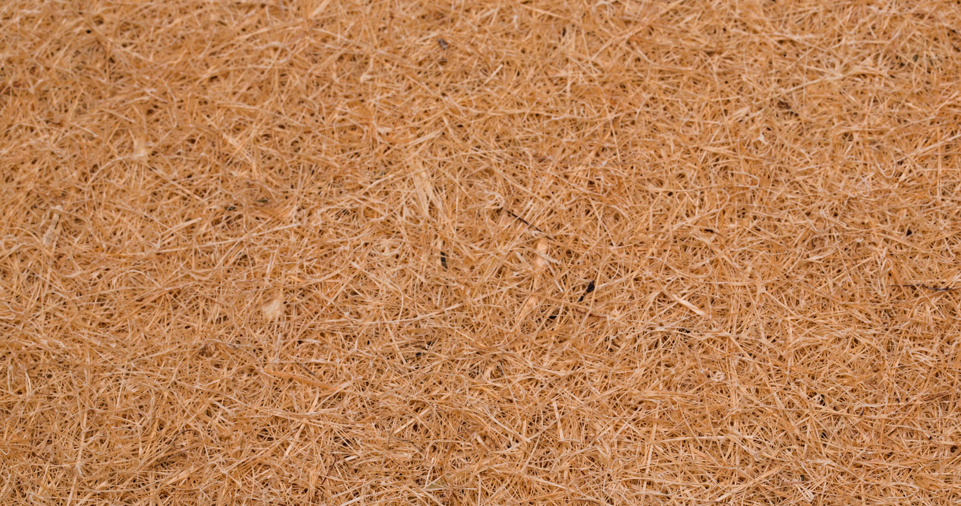 Coconut coir в матрасе Scandi