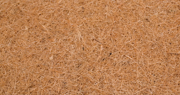 Coconut double coir в матрасе Lotos