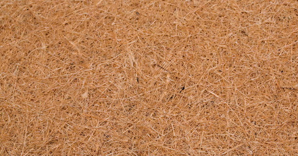 Латексированная кокосовая койра в матрасе Sweets